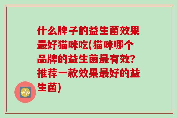 什么牌子的益生菌效果最好猫咪吃(猫咪哪个品牌的益生菌最有效？推荐一款效果最好的益生菌)