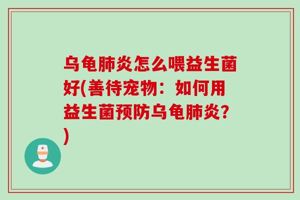 乌龟肺炎怎么喂益生菌好(善待宠物：如何用益生菌预防乌龟肺炎？)