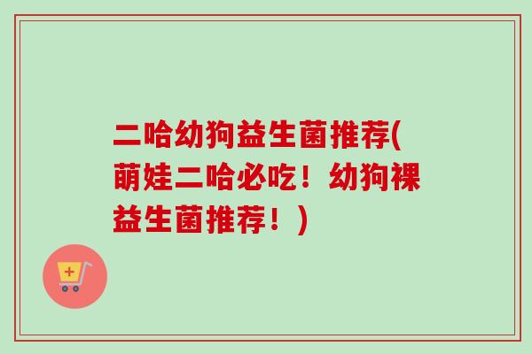 二哈幼狗益生菌推荐(萌娃二哈必吃!幼狗裸益生菌推荐!) 二哈幼狗益生菌推荐(萌娃二哈必吃!幼狗裸益生菌推荐!)