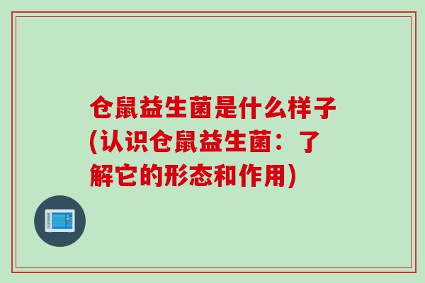 仓鼠益生菌是什么样子(认识仓鼠益生菌：了解它的形态和作用)