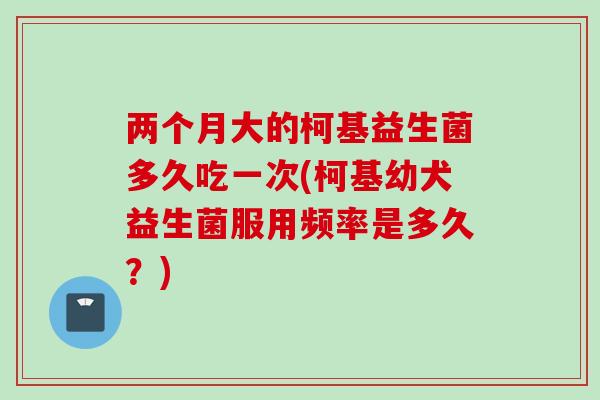 两个月大的柯基益生菌多久吃一次(柯基幼犬益生菌服用频率是多久？)