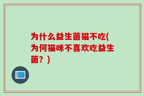 为什么益生菌猫不吃(为何猫咪不喜欢吃益生菌?) 为什么益生菌猫不吃(为何猫咪不喜欢吃益生菌?)