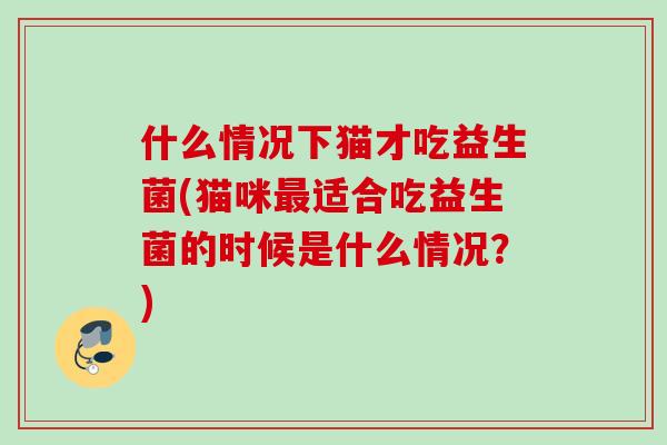 什么情况下猫才吃益生菌(猫咪适合吃益生菌的时候是什么情况?) 什么情况下猫才吃益生菌(猫咪适合吃益生菌的时候是什么情况?)