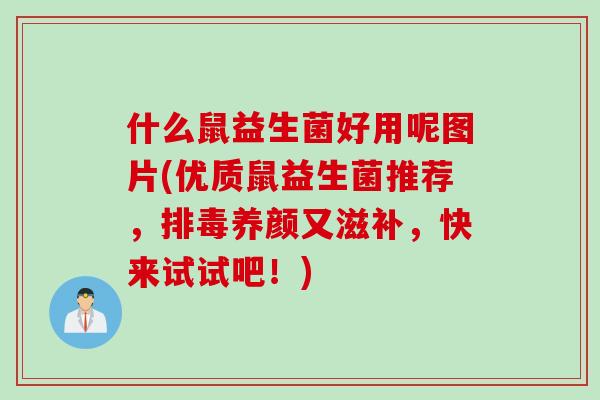 什么鼠益生菌好用呢图片(优质鼠益生菌推荐,养颜又滋补,快来试试吧!) 什么鼠益生菌好用呢图片(优质鼠益生菌推荐,养颜又滋补,快来试试吧!)