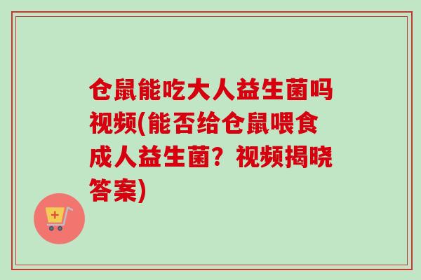 仓鼠能吃大人益生菌吗视频(能否给仓鼠喂食成人益生菌?视频揭晓答案) 仓鼠能吃大人益生菌吗视频(能否给仓鼠喂食成人益生菌?视频揭晓答案)