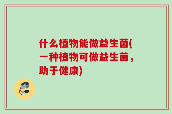 什么植物能做益生菌(一种植物可做益生菌，助于健康)