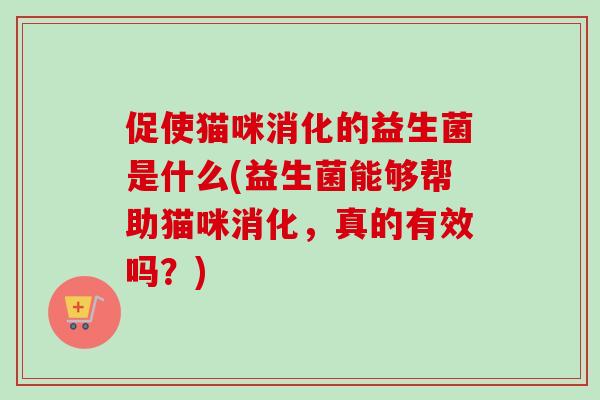 促使猫咪消化的益生菌是什么(益生菌能够帮助猫咪消化,真的有效吗?) 促使猫咪消化的益生菌是什么(益生菌能够帮助猫咪消化,真的有效吗?)