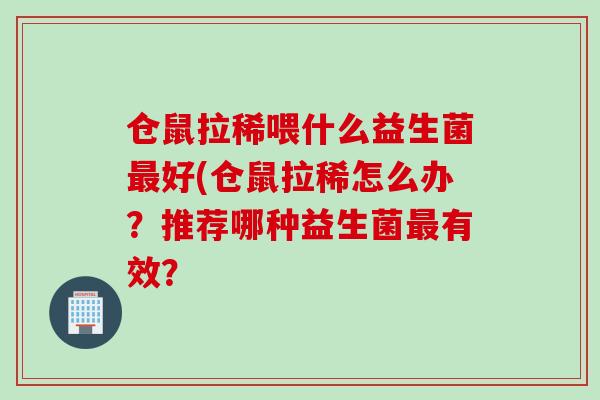 仓鼠拉稀喂什么益生菌最好(仓鼠拉稀怎么办？推荐哪种益生菌最有效？