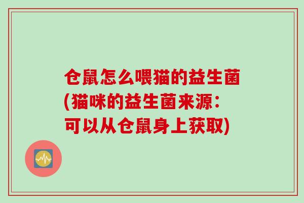 仓鼠怎么喂猫的益生菌(猫咪的益生菌来源：可以从仓鼠身上获取)