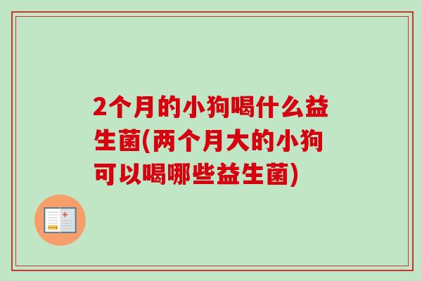 2个月的小狗喝什么益生菌(两个月大的小狗可以喝哪些益生菌)