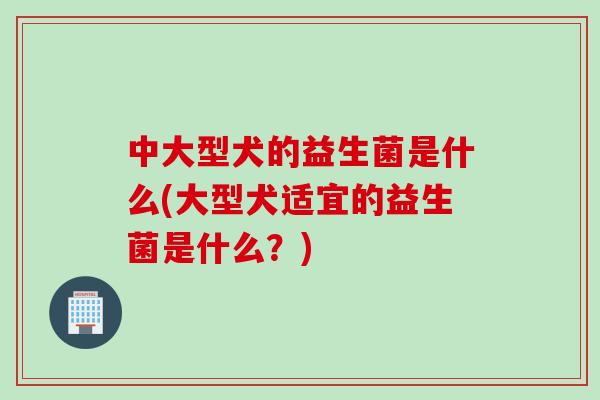 中大型犬的益生菌是什么(大型犬适宜的益生菌是什么?) 中大型犬的益生菌是什么(大型犬适宜的益生菌是什么?)