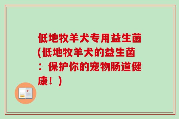 低地牧羊犬专用益生菌(低地牧羊犬的益生菌：保护你的宠物肠道健康！)