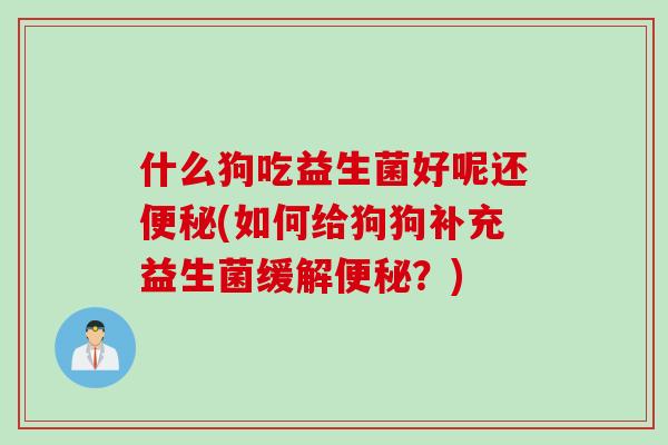 什么狗吃益生菌好呢还(如何给狗狗补充益生菌缓解?) 什么狗吃益生菌好呢还(如何给狗狗补充益生菌缓解?)