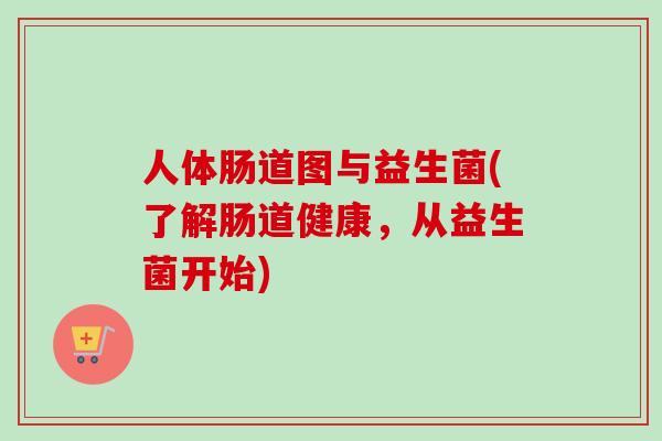 人体肠道图与益生菌(了解肠道健康，从益生菌开始)