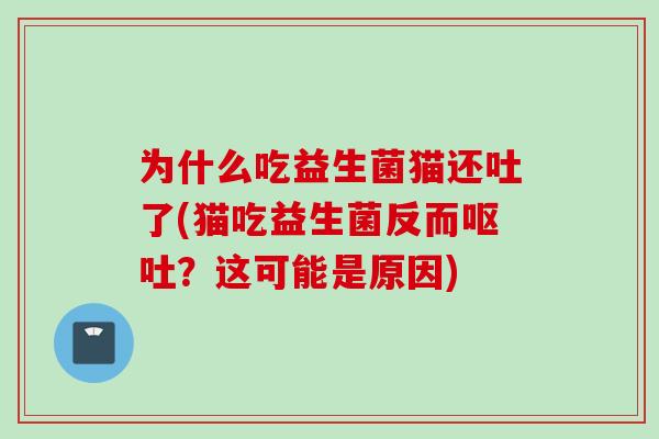 为什么吃益生菌猫还吐了(猫吃益生菌反而？这可能是原因)