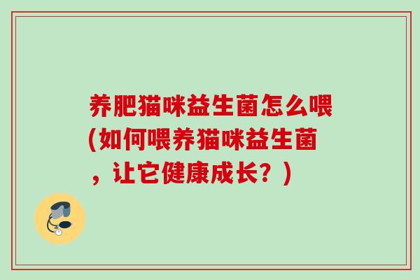养肥猫咪益生菌怎么喂(如何喂养猫咪益生菌，让它健康成长？)