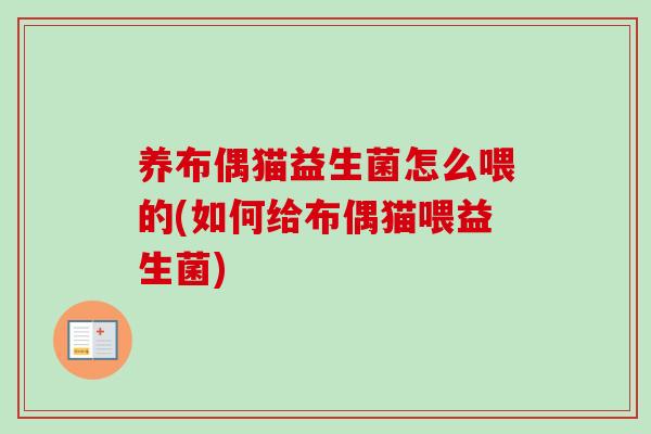 养布偶猫益生菌怎么喂的(如何给布偶猫喂益生菌)