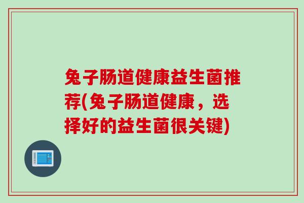兔子肠道健康益生菌推荐(兔子肠道健康,选择好的益生菌很关键) 兔子肠道健康益生菌推荐(兔子肠道健康,选择好的益生菌很关键)