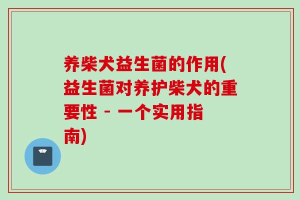 养柴犬益生菌的作用(益生菌对养护柴犬的重要性 - 一个实用指南) 养柴犬益生菌的作用(益生菌对养护柴犬的重要性 - 一个实用指南)