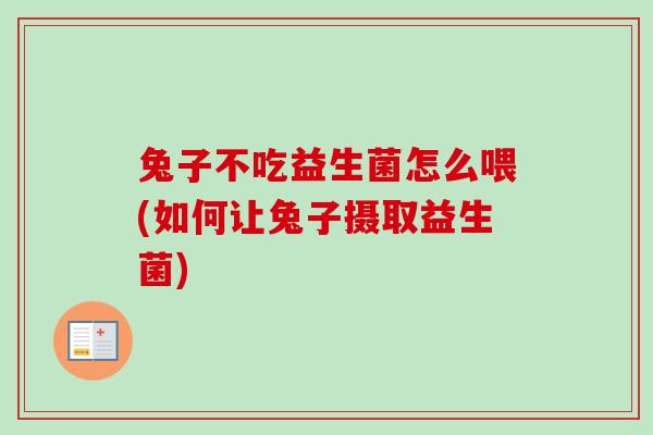 兔子不吃益生菌怎么喂(如何让兔子摄取益生菌)
