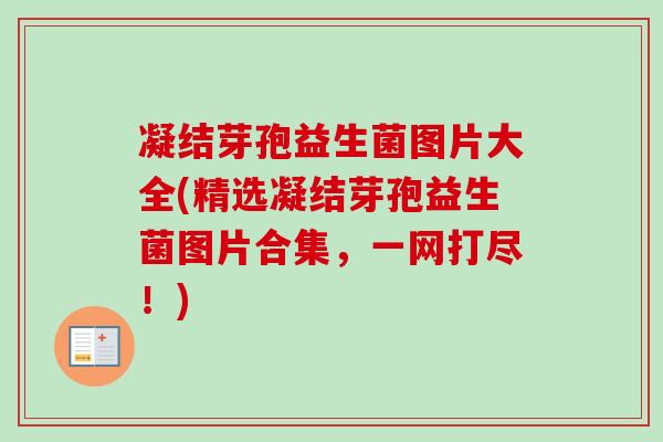 凝结芽孢益生菌图片大全(精选凝结芽孢益生菌图片合集,一网打尽!) 凝结芽孢益生菌图片大全(精选凝结芽孢益生菌图片合集,一网打尽!)