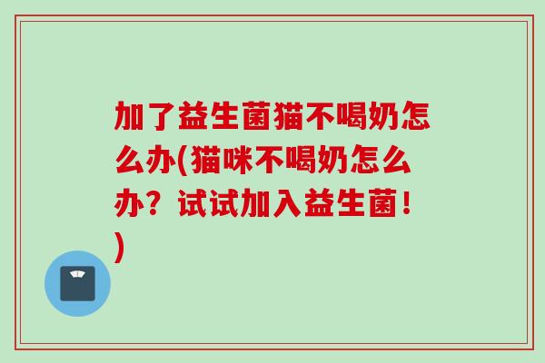 加了益生菌猫不喝奶怎么办(猫咪不喝奶怎么办?试试加入益生菌!) 加了益生菌猫不喝奶怎么办(猫咪不喝奶怎么办?试试加入益生菌!)