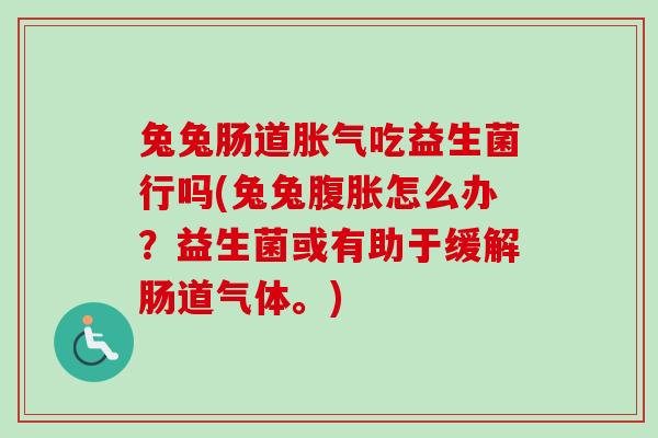 兔兔肠道吃益生菌行吗(兔兔怎么办？益生菌或有助于缓解肠道气体。)