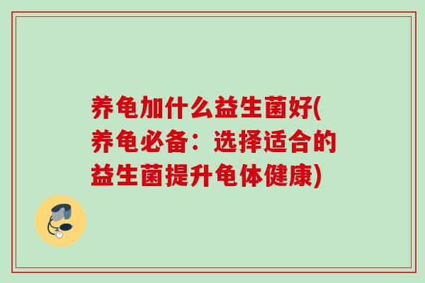养龟加什么益生菌好(养龟必备：选择适合的益生菌提升龟体健康)