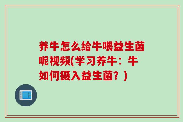 养牛怎么给牛喂益生菌呢视频(学习养牛:牛如何摄入益生菌?) 养牛怎么给牛喂益生菌呢视频(学习养牛:牛如何摄入益生菌?)