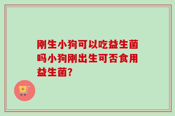 刚生小狗可以吃益生菌吗小狗刚出生可否食用益生菌? 刚生小狗可以吃益生菌吗小狗刚出生可否食用益生菌?