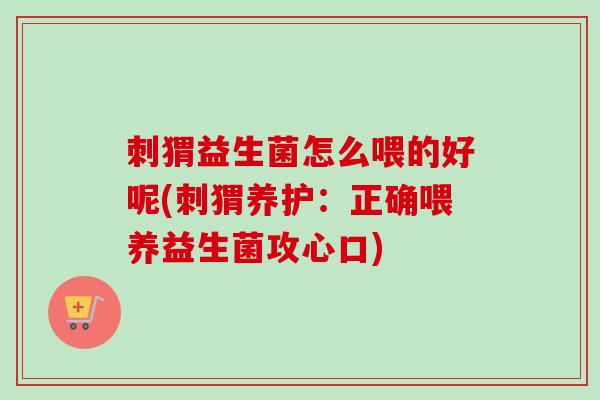 刺猬益生菌怎么喂的好呢(刺猬养护：正确喂养益生菌攻心口)