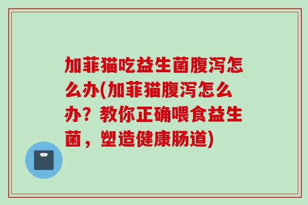 加菲猫吃益生菌腹泻怎么办(加菲猫腹泻怎么办？教你正确喂食益生菌，塑造健康肠道)