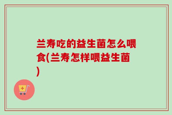 兰寿吃的益生菌怎么喂食(兰寿怎样喂益生菌)