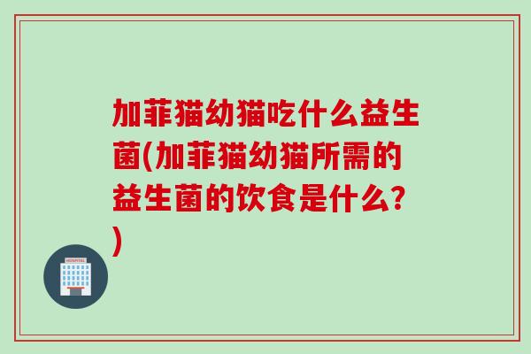 加菲猫幼猫吃什么益生菌(加菲猫幼猫所需的益生菌的饮食是什么？)