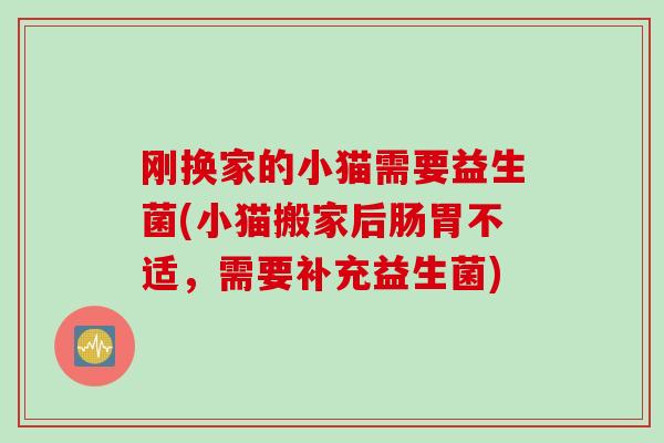 刚换家的小猫需要益生菌(小猫搬家后肠胃不适，需要补充益生菌)