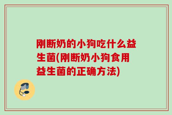 刚断奶的小狗吃什么益生菌(刚断奶小狗食用益生菌的正确方法) 刚断奶的小狗吃什么益生菌(刚断奶小狗食用益生菌的正确方法)
