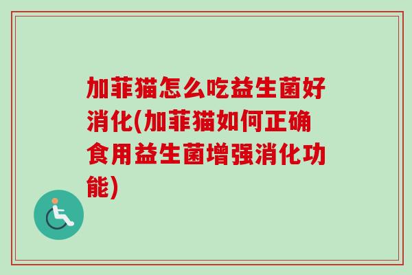 加菲猫怎么吃益生菌好消化(加菲猫如何正确食用益生菌增强消化功能)