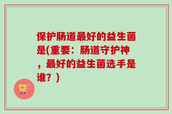 保护肠道最好的益生菌是(重要：肠道守护神，最好的益生菌选手是谁？)