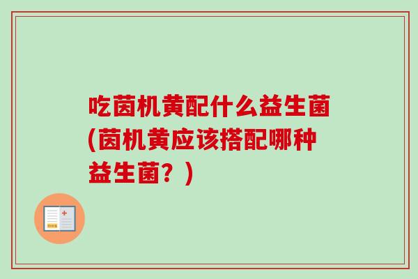吃茵机黄配什么益生菌(茵机黄应该搭配哪种益生菌？)