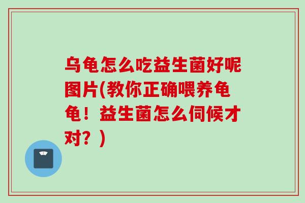 乌龟怎么吃益生菌好呢图片(教你正确喂养龟龟！益生菌怎么伺候才对？)