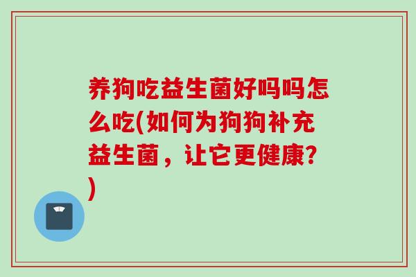养狗吃益生菌好吗吗怎么吃(如何为狗狗补充益生菌，让它更健康？)