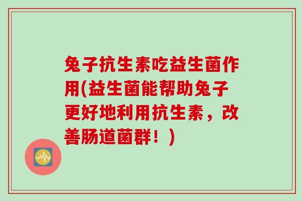 兔子抗生素吃益生菌作用(益生菌能帮助兔子更好地利用抗生素，改善肠道菌群！)