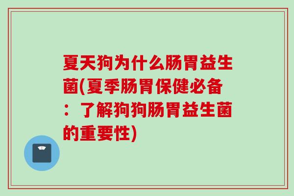 夏天狗为什么肠胃益生菌(夏季肠胃保健必备：了解狗狗肠胃益生菌的重要性)