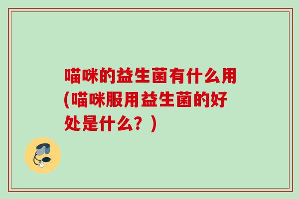 喵咪的益生菌有什么用(喵咪服用益生菌的好处是什么？)
