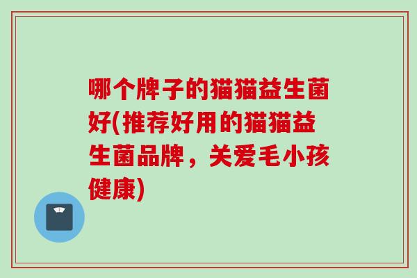哪个牌子的猫猫益生菌好(推荐好用的猫猫益生菌品牌，关爱毛小孩健康)