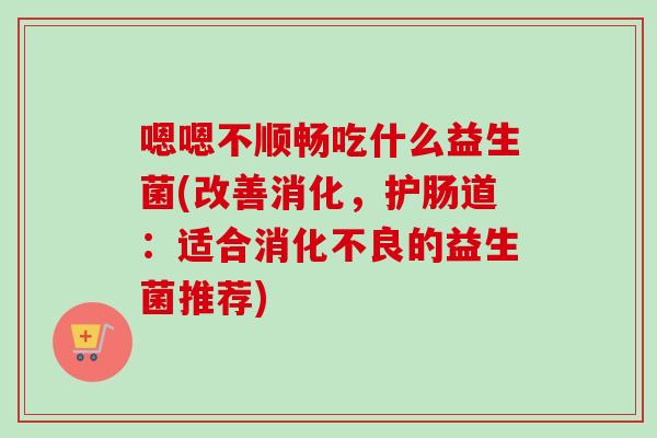 嗯嗯不顺畅吃什么益生菌(改善消化，护肠道：适合的益生菌推荐)
