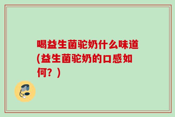 喝益生菌驼奶什么味道(益生菌驼奶的口感如何？)