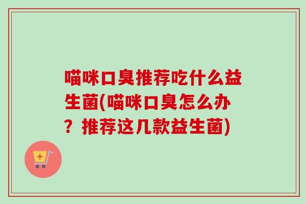 喵咪推荐吃什么益生菌(喵咪怎么办？推荐这几款益生菌)