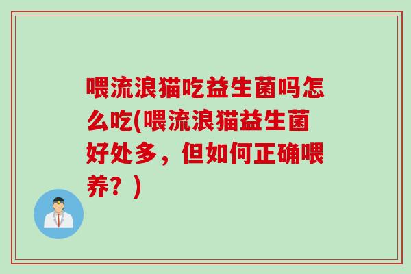 喂流浪猫吃益生菌吗怎么吃(喂流浪猫益生菌好处多，但如何正确喂养？)