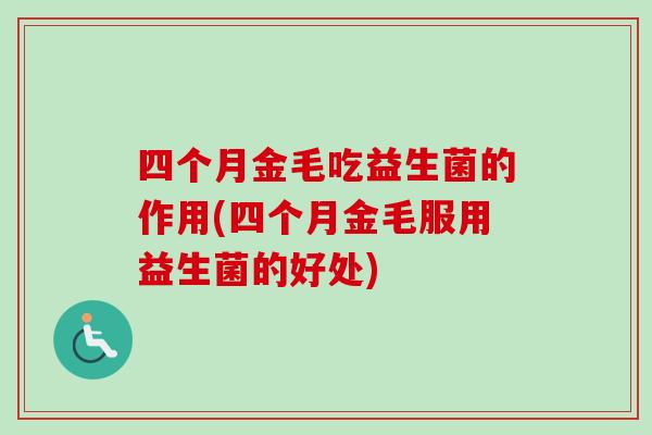 四个月金毛吃益生菌的作用(四个月金毛服用益生菌的好处)